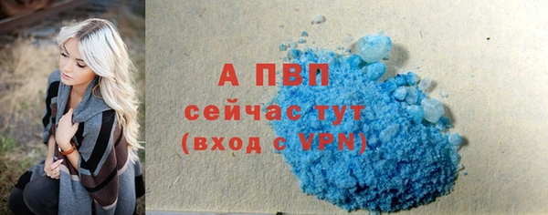 ГАЛЛЮЦИНОГЕННЫЕ ГРИБЫ Болотное