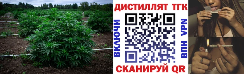 Дистиллят ТГК вейп с тгк  mega вход  Туринск 