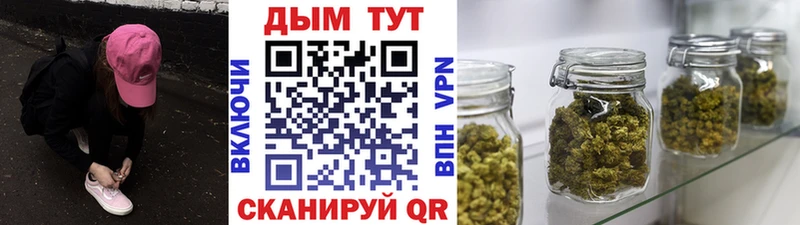 Шишки марихуана семена Туринск